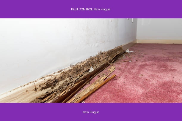 PEST CONTROL New Prague
